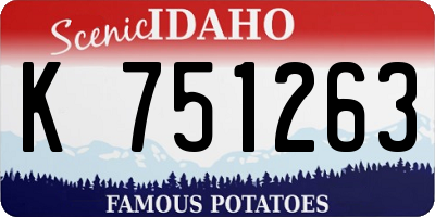 ID license plate K751263