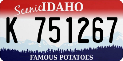 ID license plate K751267