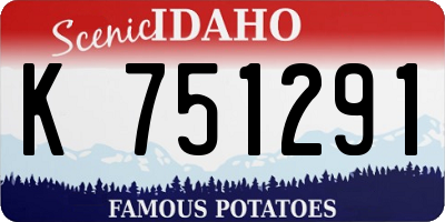 ID license plate K751291