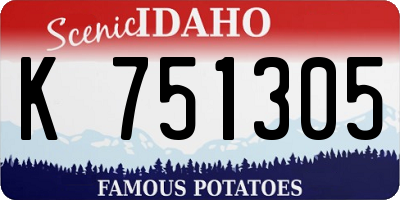 ID license plate K751305