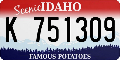 ID license plate K751309