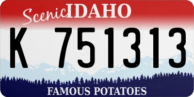 ID license plate K751313