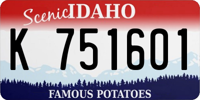 ID license plate K751601