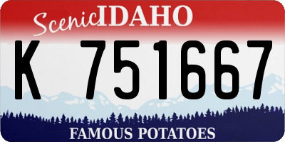 ID license plate K751667
