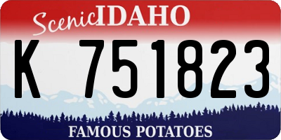 ID license plate K751823
