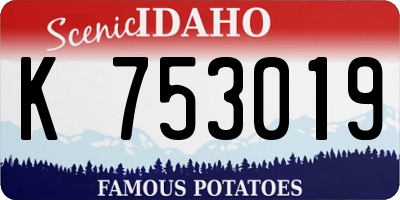 ID license plate K753019