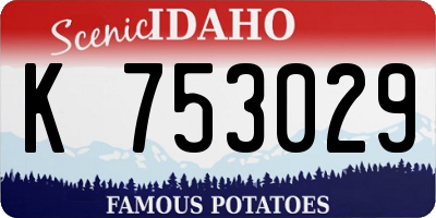 ID license plate K753029