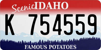 ID license plate K754559