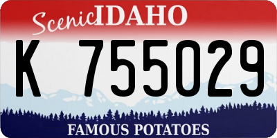 ID license plate K755029