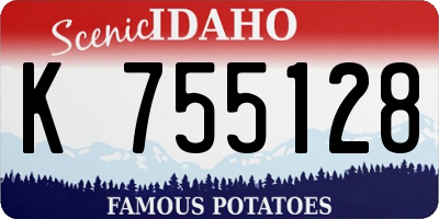 ID license plate K755128