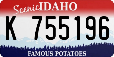 ID license plate K755196