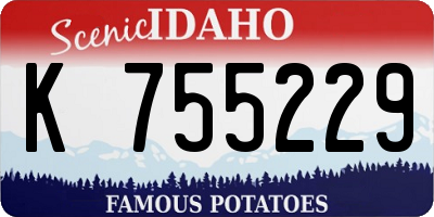 ID license plate K755229