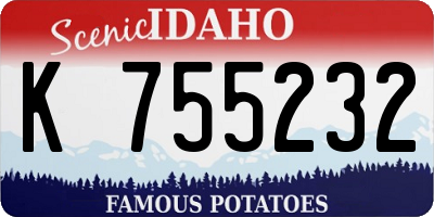 ID license plate K755232