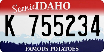 ID license plate K755234