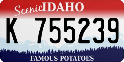 ID license plate K755239