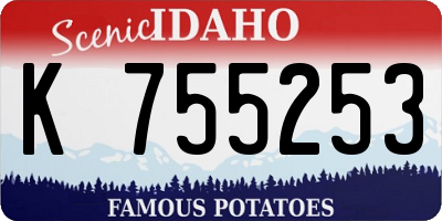 ID license plate K755253