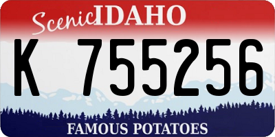 ID license plate K755256