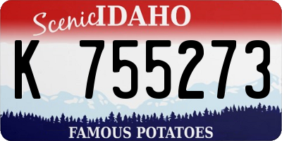 ID license plate K755273