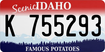 ID license plate K755293