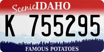 ID license plate K755295