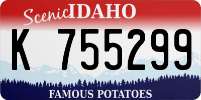 ID license plate K755299