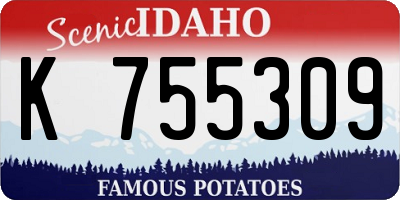 ID license plate K755309
