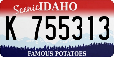 ID license plate K755313