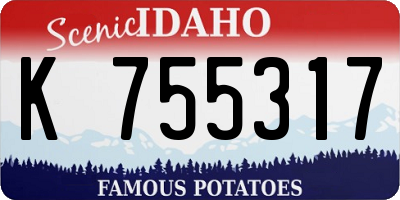 ID license plate K755317