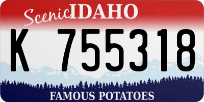ID license plate K755318