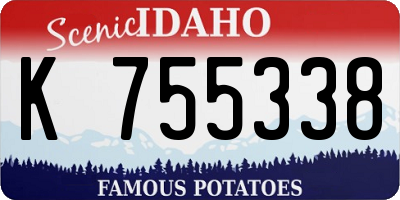 ID license plate K755338
