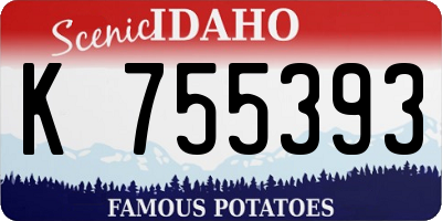 ID license plate K755393