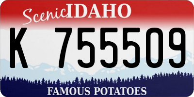 ID license plate K755509