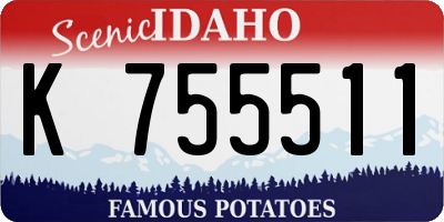 ID license plate K755511