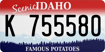 ID license plate K755580