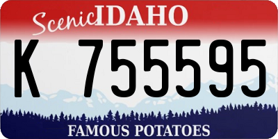ID license plate K755595