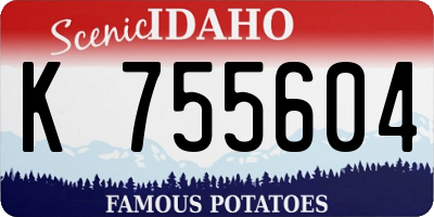 ID license plate K755604