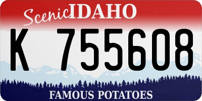 ID license plate K755608