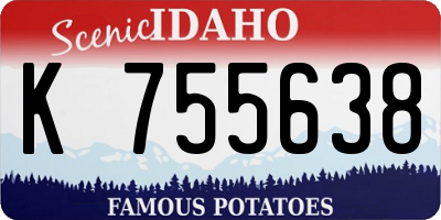 ID license plate K755638