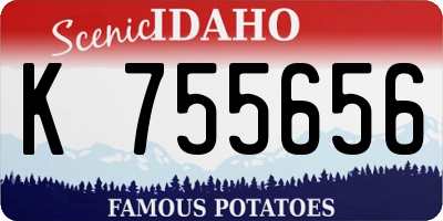 ID license plate K755656