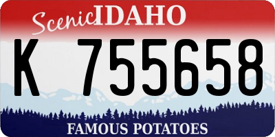 ID license plate K755658