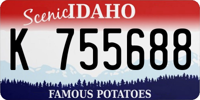 ID license plate K755688