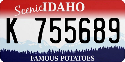 ID license plate K755689