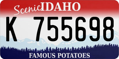 ID license plate K755698