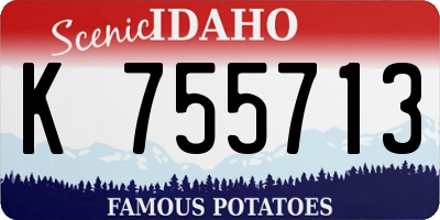 ID license plate K755713