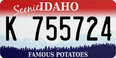 ID license plate K755724