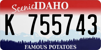 ID license plate K755743