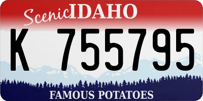 ID license plate K755795