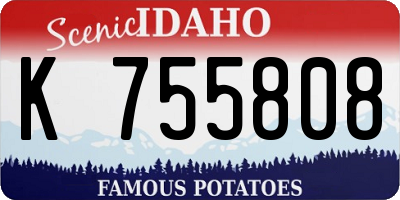 ID license plate K755808
