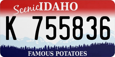 ID license plate K755836