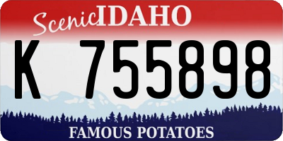ID license plate K755898